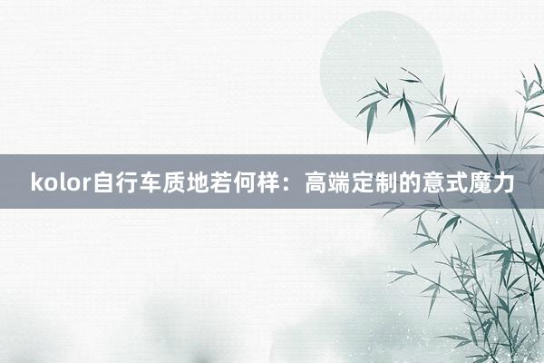 kolor自行车质地若何样：高端定制的意式魔力